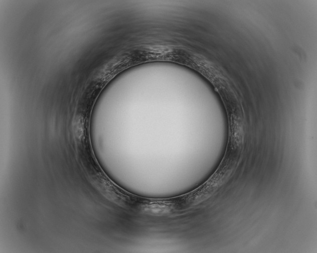 X0000115110758200911101605