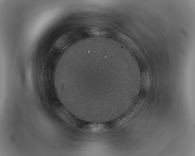 X0000115110762200911101605