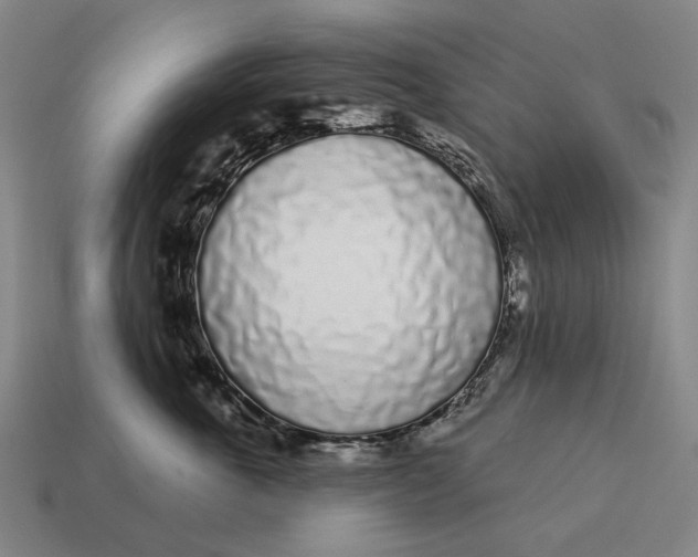 X0000115110763200911101605
