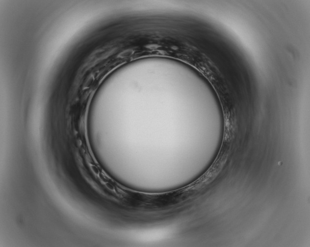 X0000115110765200911101606