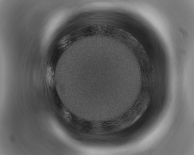X0000115110766200911101606
