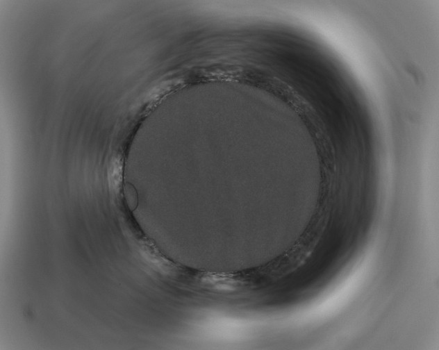 X0000115110767200911101606
