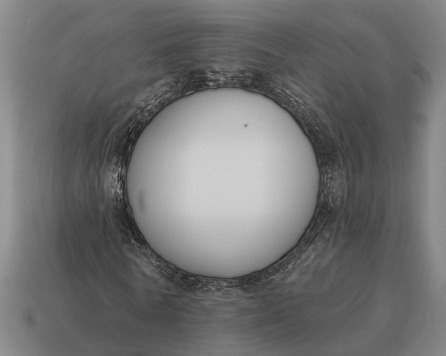 X0000115110770200911101605