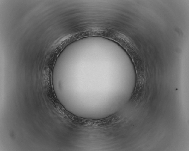 X0000115110773200911101605