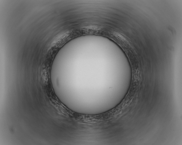 X0000115110774200911101605