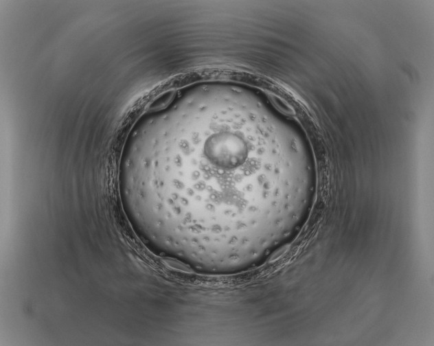 X0000115110775200911101605