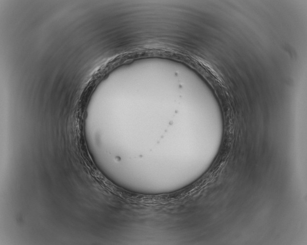 X0000115110776200911101605