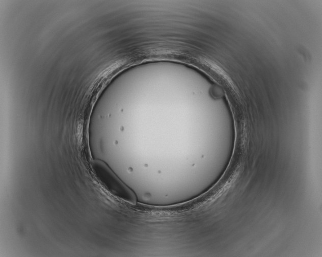 X0000115110777200911101605