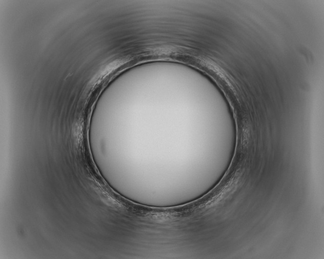 X0000115110778200911101605