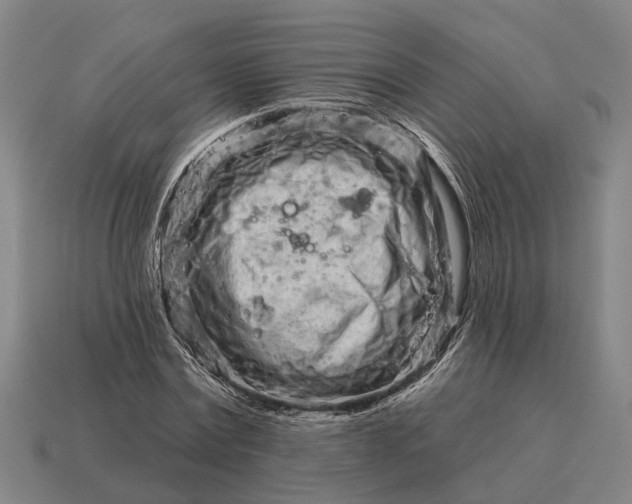 X0000115110779200911101605