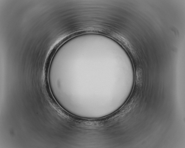 X0000115110780200911101605