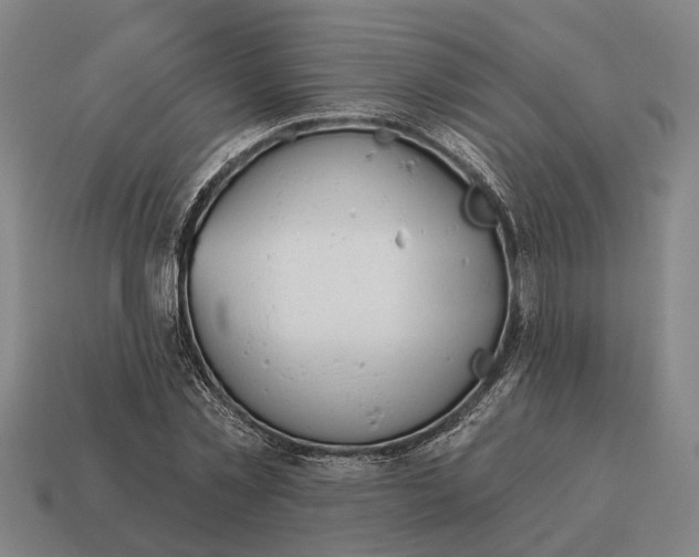 X0000115110781200911101605