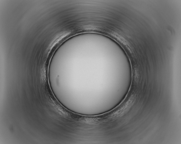 X0000115110782200911101605