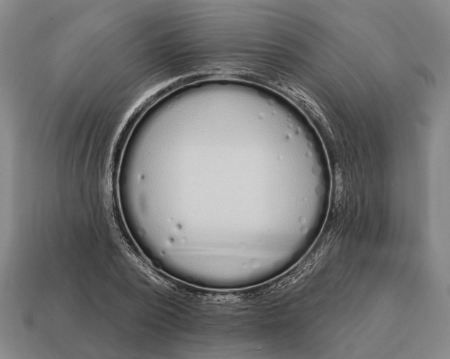 X0000115110784200911101605