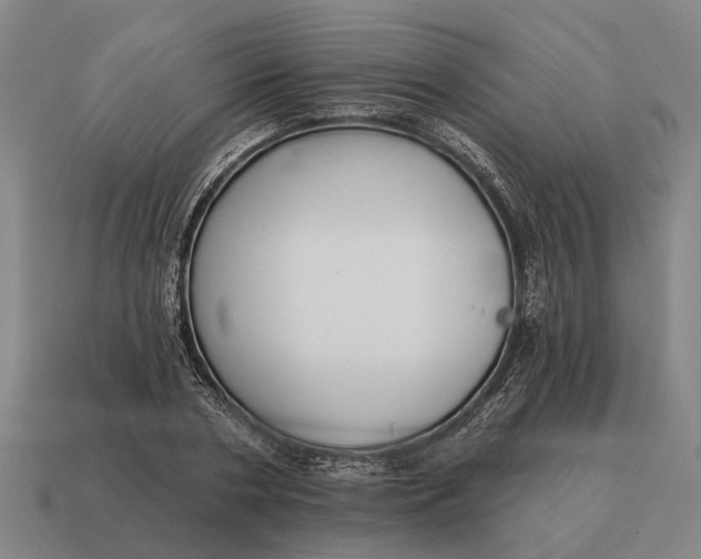 X0000115110786200911101605