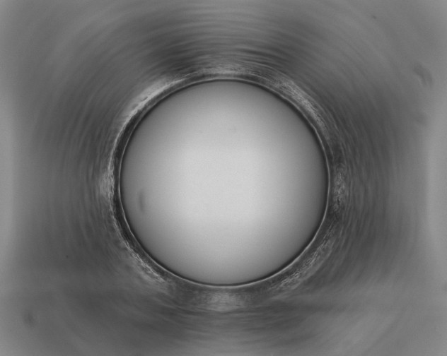 X0000115110787200911101605