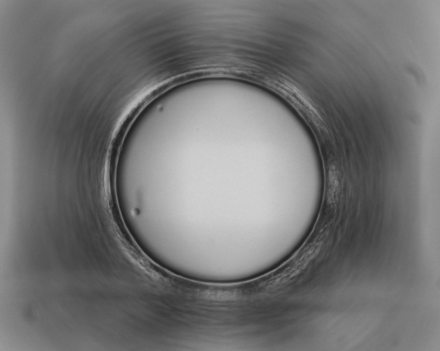 X0000115110788200911101605