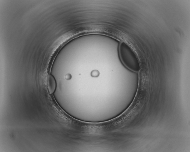 X0000115110789200911101605