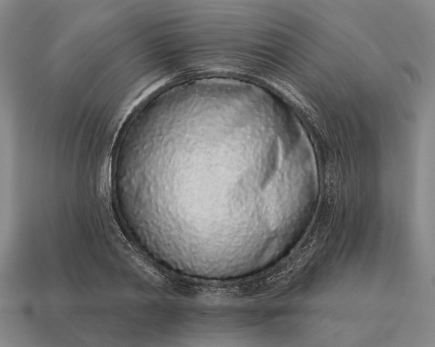 X0000115110790200911101605