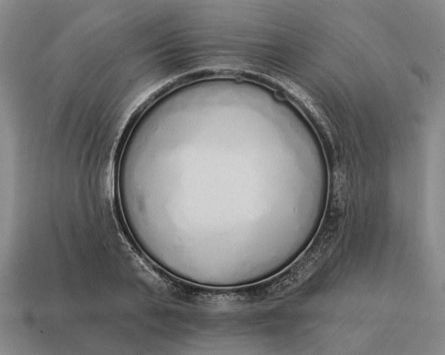 X0000115110791200911101605