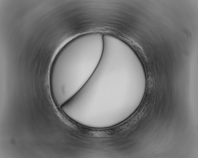 X0000115110792200911101605