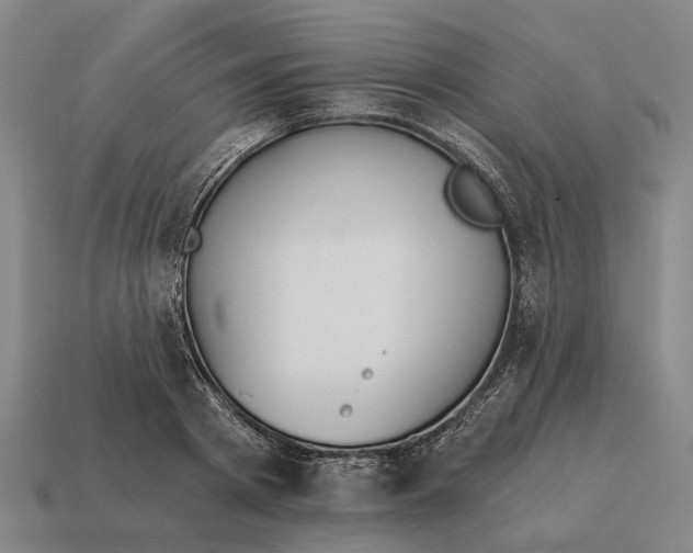 X0000115110793200911101605