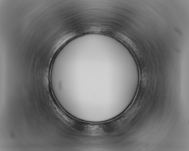 X0000115110794200911101605