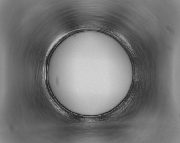 X0000115110796200911101605