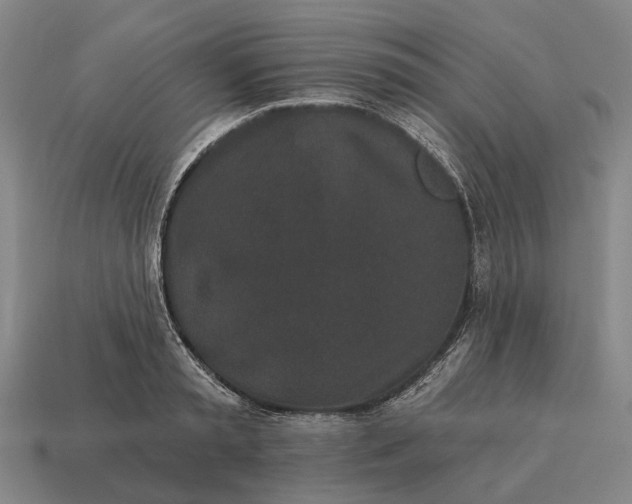 X0000115110797200911101605