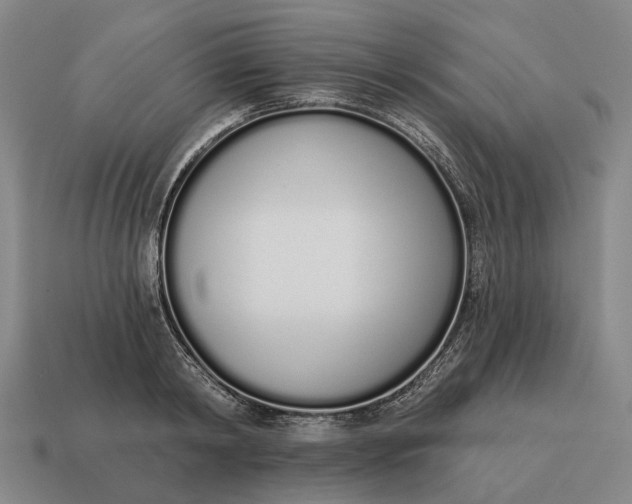 X0000115110798200911101605