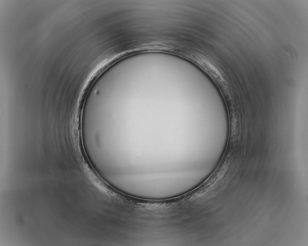X0000115110800200911101605