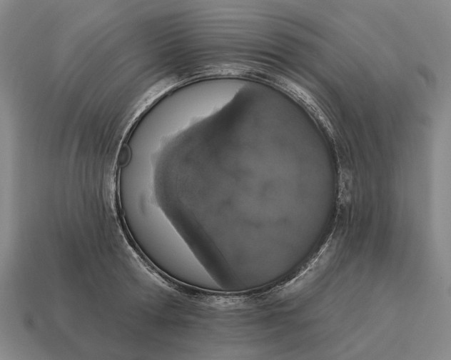 X0000115110802200911101605