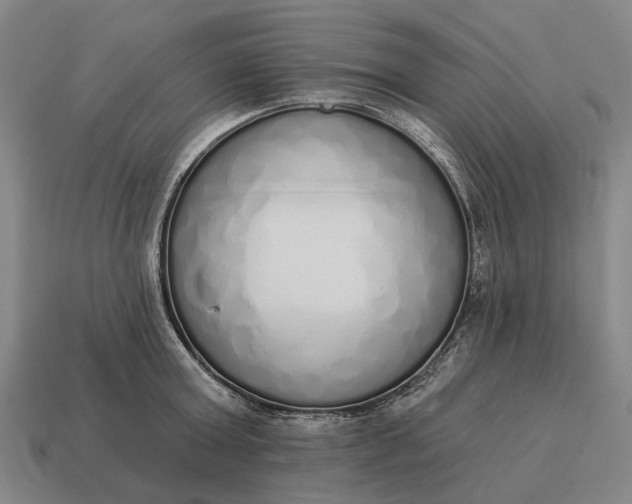 X0000115110803200911101604