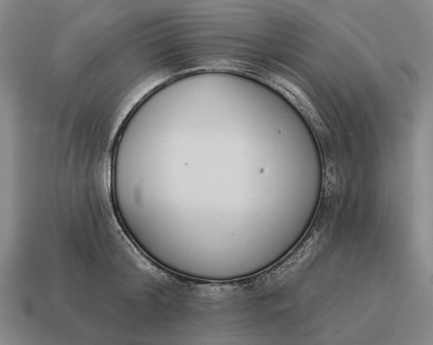 X0000115110804200911101604