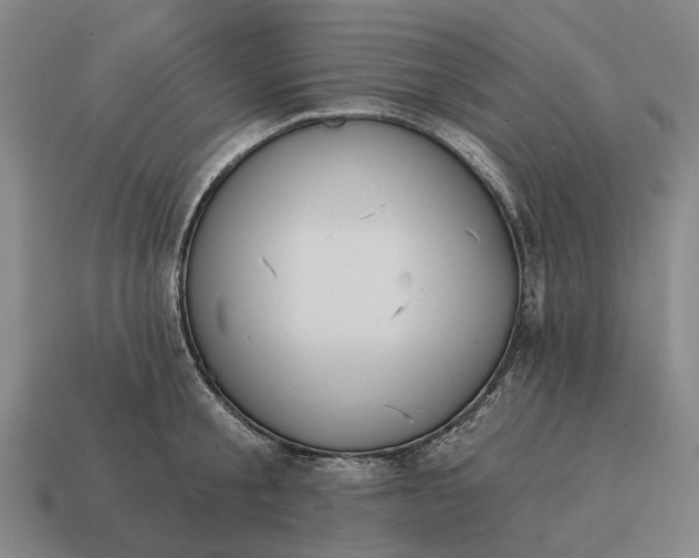 X0000115110805200911101604