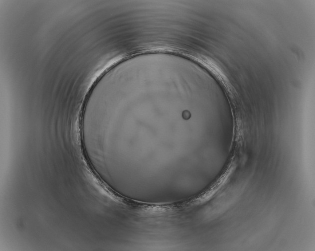 X0000115110806200911101604