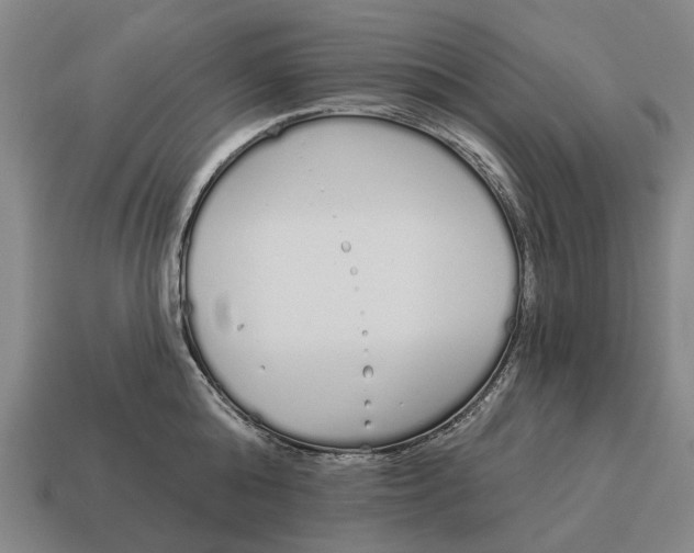 X0000115110808200911101604