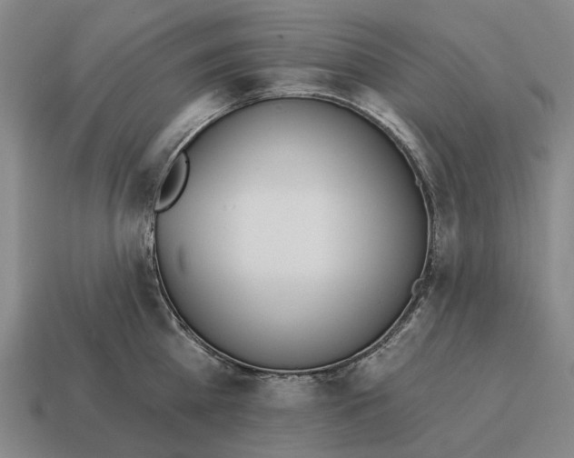 X0000115110809200911101604