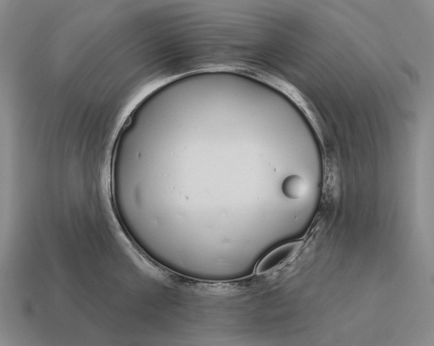 X0000115110811200911101604