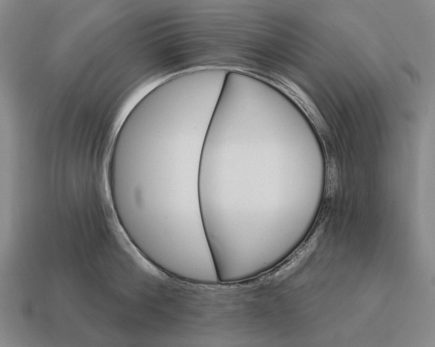 X0000115110812200911101604