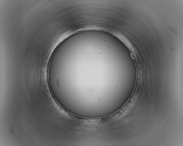 X0000115110813200911101604