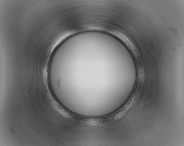 X0000115110814200911101604