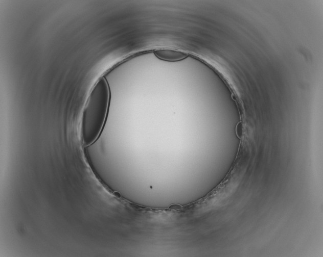 X0000115110815200911101604
