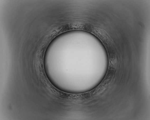 X0000115110817200911101603