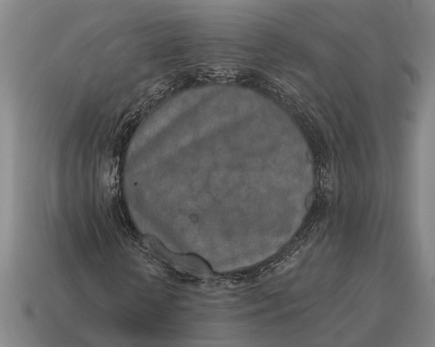 X0000115110818200911101603