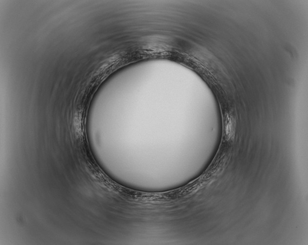 X0000115110819200911101603