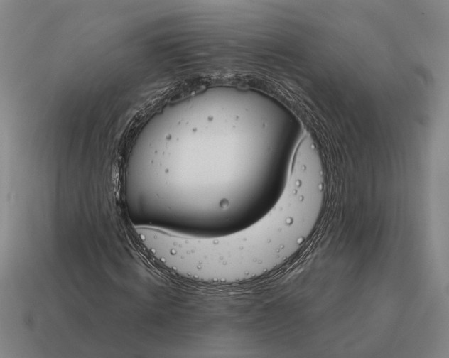 X0000115110820200911101603