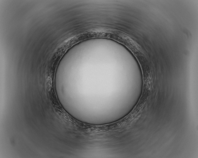 X0000115110821200911101603