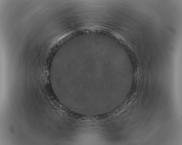 X0000115110822200911101603