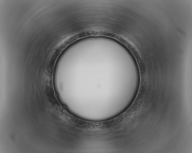 X0000115110823200911101603